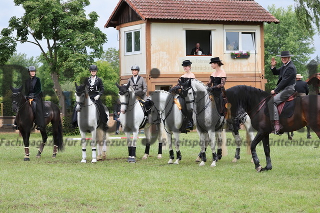 Hambrücken_2025_Showprogramm (59) | Alle Fotos der Reiterjournal Fotografin Doris Matthaes im Reiterjournal Online-Fotoshop. - Realisiert mit Pictrs.com