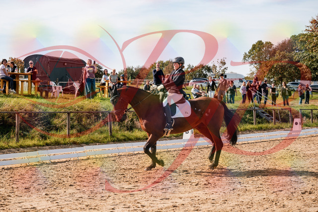 2026_10_03_Siefer-Hof_130300_Z63_64868686 | Professionelle Reitsport-, Turnier- und Eventfotografie von Robert Broda. Galerien mit ausgewählten und bearbeiteten Bildern direkt online ansehen und bestellen.