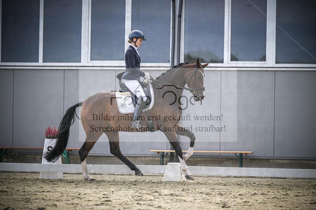 DOS_2336 | Entdecke hochwertige Reitturnierfotos von Foto Oger. Professionell, emotional und authentisch – jetzt Lieblingsmomente im Shop bestellen.Deutschlandweite Turnierfotografie. - Realisiert mit Pictrs.com