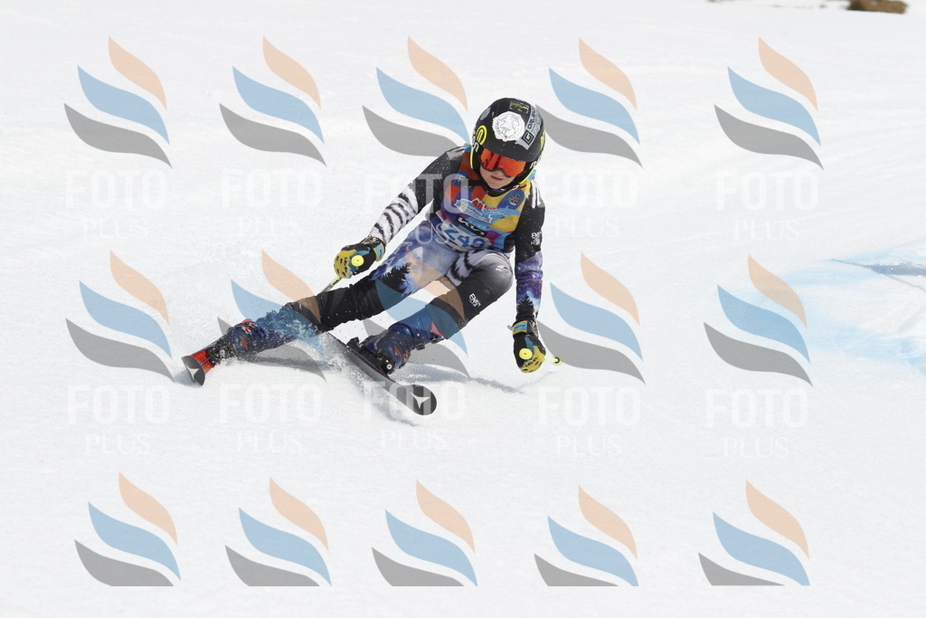 _U3G2752 | holidayphoto