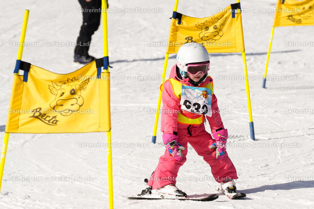 SRF_23.01.2026_0365 | SRF_23.01.2026_0365 - Realisiert mit Pictrs.com