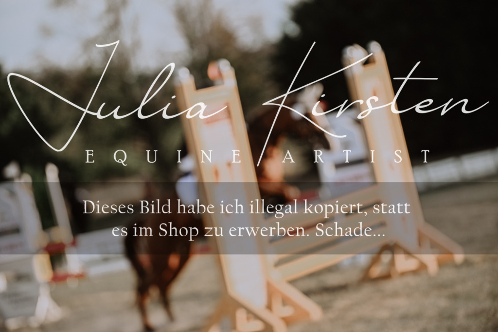 DSC_0318 | Pferde- und Turnierfotografie in Westsachsen. Pferdeportraits, Auftragszeichnungen und intuitive Kunst.