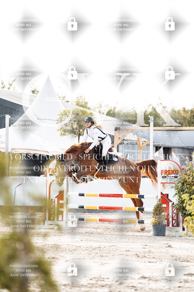 CK906945 | Turnierfotografie Pferdefotografie Trier Rheinland-Pfalz Pferdesport Reitsport Tierfotografie Sportfotografie Pferdevideo Pferdevideografie Equestrianvideography equestrianphotography  - Realisiert mit Pictrs.com