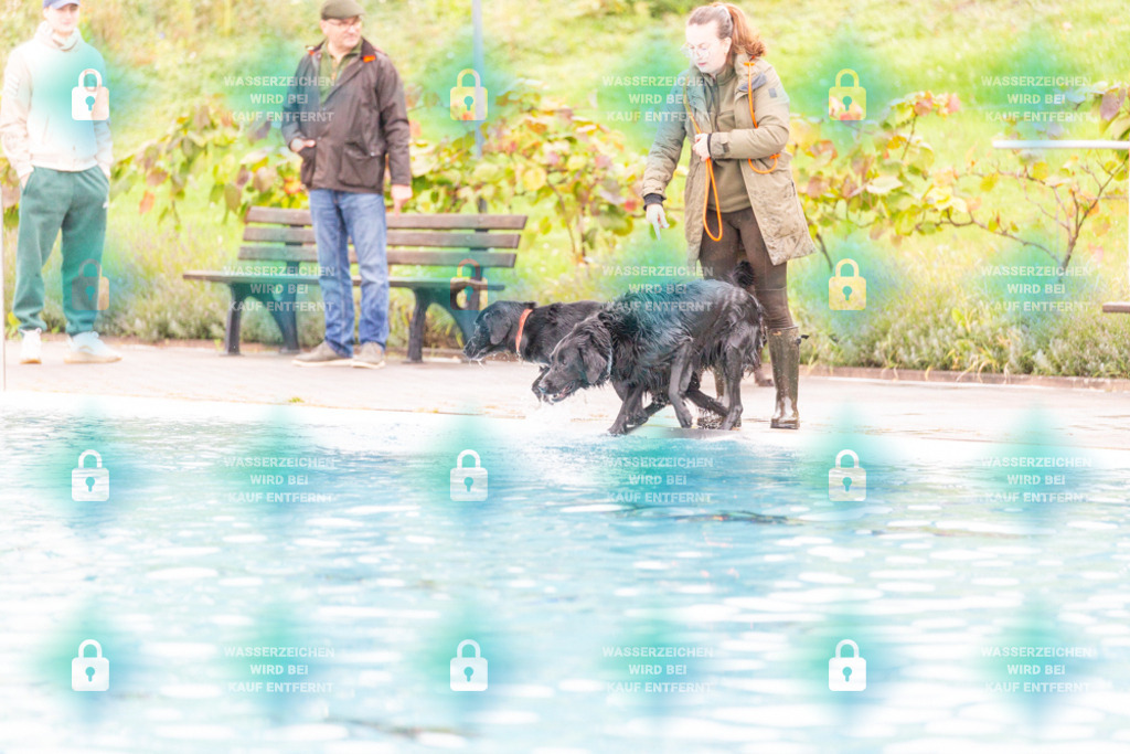 _HP_7231_1000o | HetPix, HetPix Fotodesign, Fotografie, Fotodesign, Webshop, Sportfotografie, Portraitfotografie, Onlineshop, Sportfotografie, Polch, Motorsportfotografie, Eventfotografie