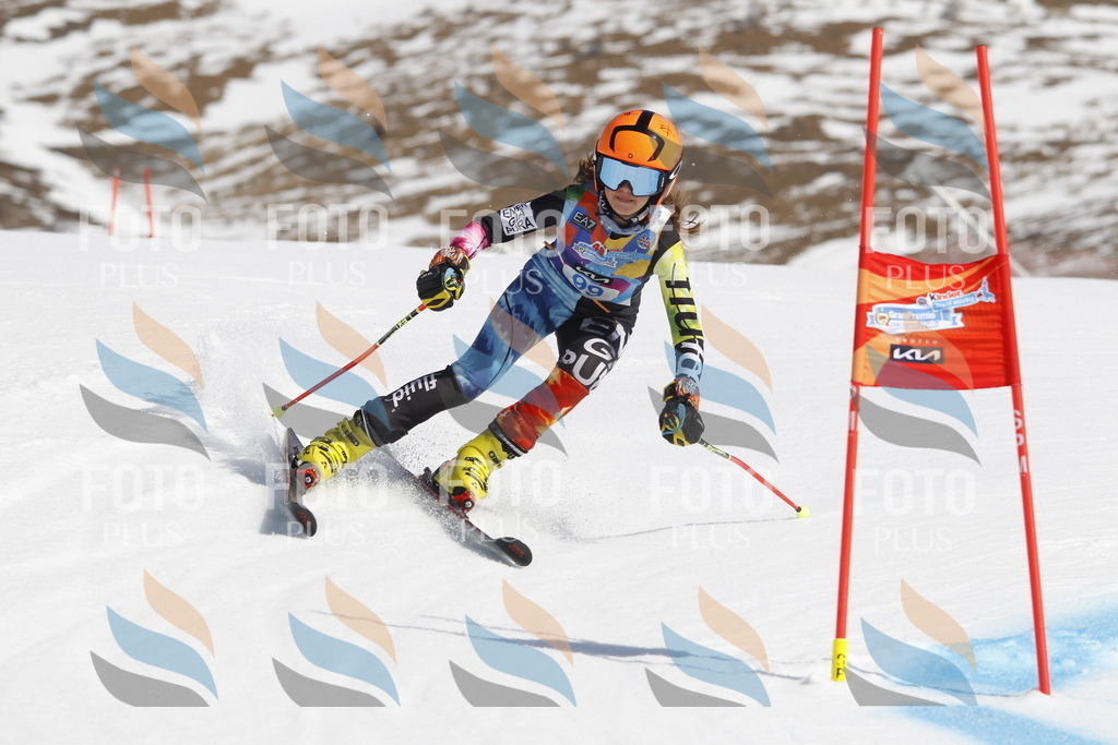 _U3G0295 | holidayphoto