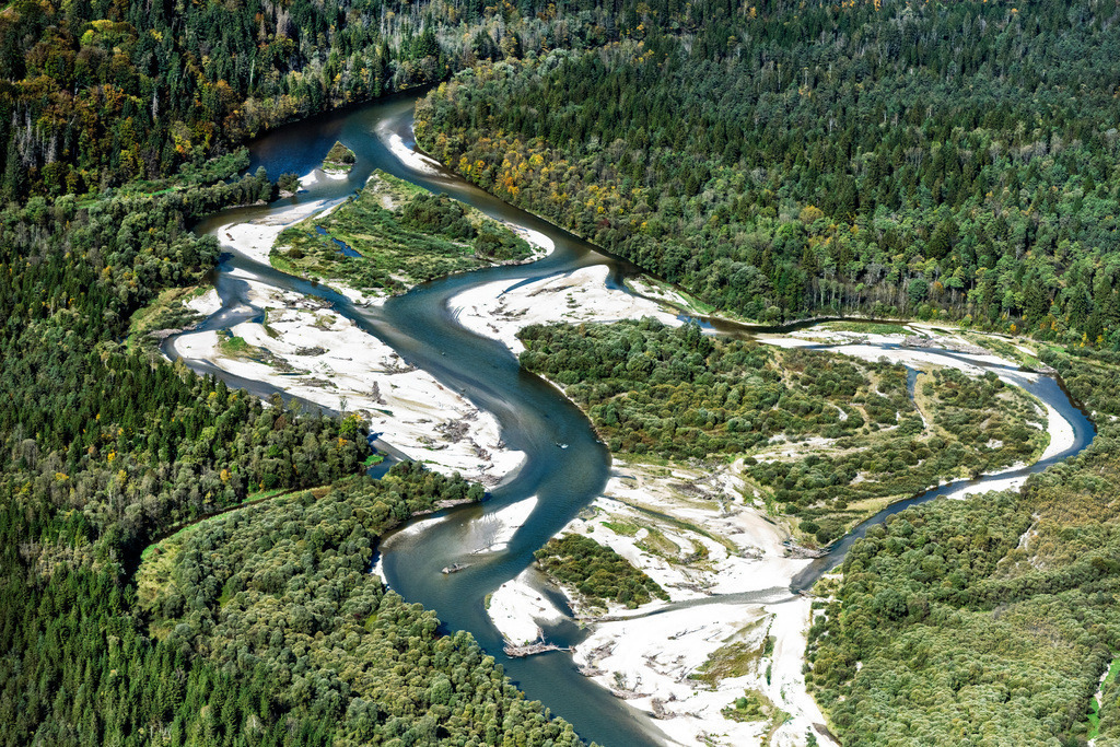 dr__0038782.jpg | ICKING 11.10.2019 Mündung der Loisach in die Isar bei Icking nahe Wolfratshausen im Bundesland Bayern, Deutschland. Das dunklere Wasser der Loisach trifft am Zusammenfluss auf die schwebstoffreiche hellere Isar. // Confluence of Loisach in the river Isar near Icking near Wolfratshausen in the state of Bavaria, Germany. Foto: Daniel Reiter