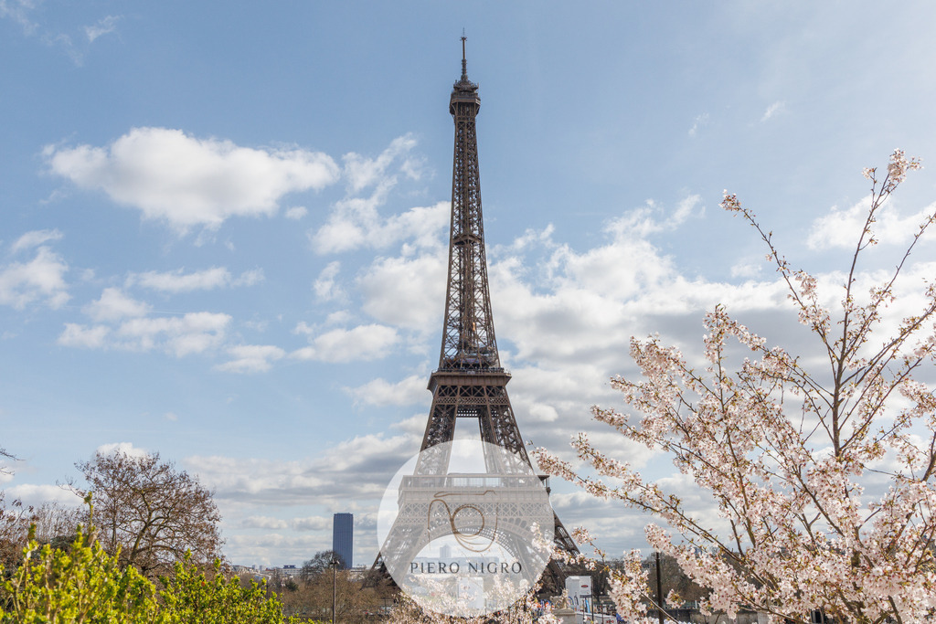 20240316-14-51-51-IMG_6960 | Galleria Dei Moment - Fotografie D' Arte | Wallart | Fotokunst - Realisiert mit Pictrs.com