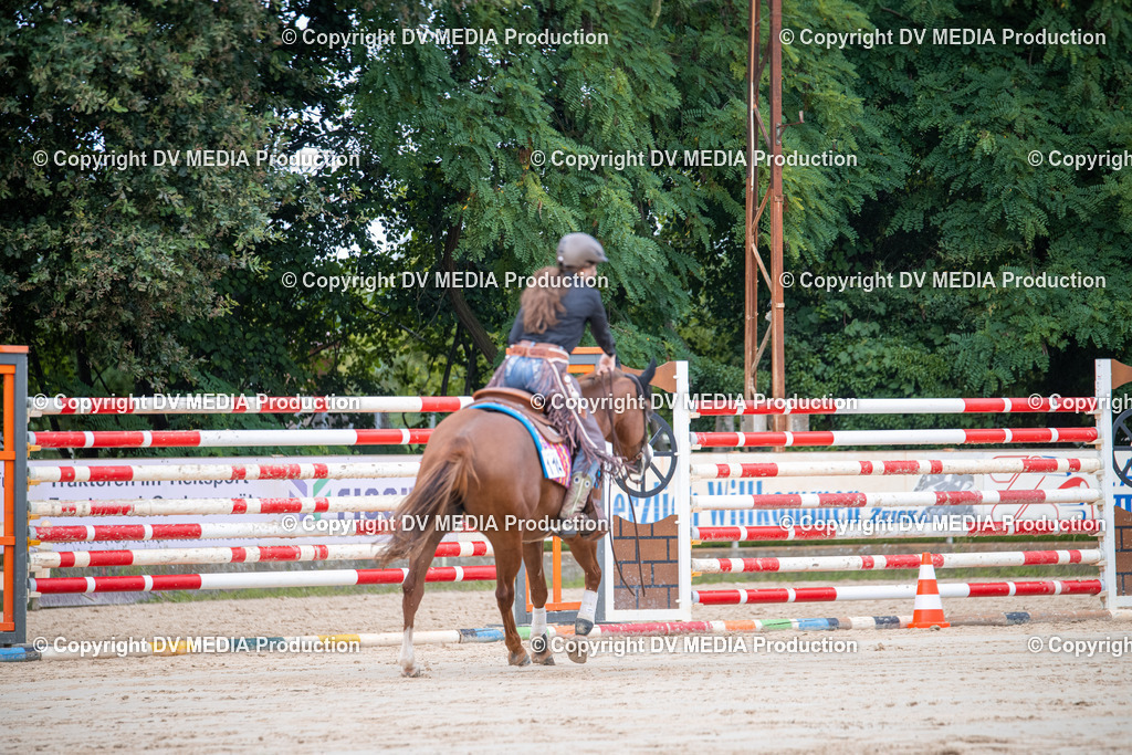 ZS3_5523 | dv-media-shop - Realisiert mit Pictrs.com