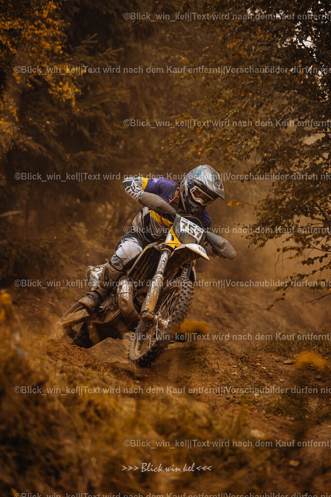 E68A3783 | blick_win_kel