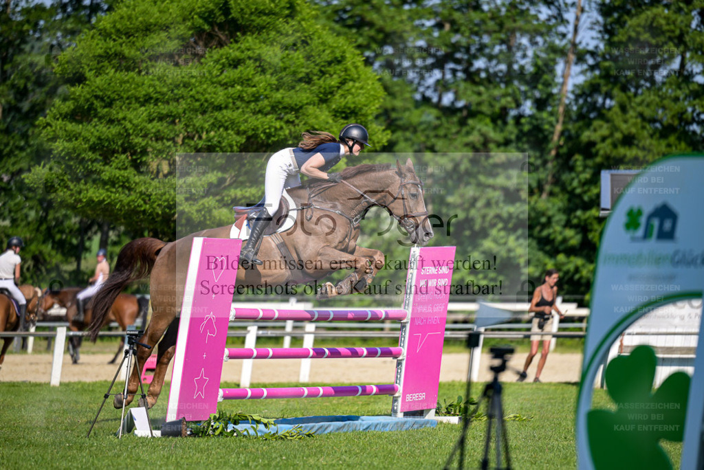 Reitturnier Voxtrup | Entdecke hochwertige Reitturnierfotos von Foto Oger. Professionell, emotional und authentisch – jetzt Lieblingsmomente im Shop bestellen. - Realisiert mit Pictrs.com