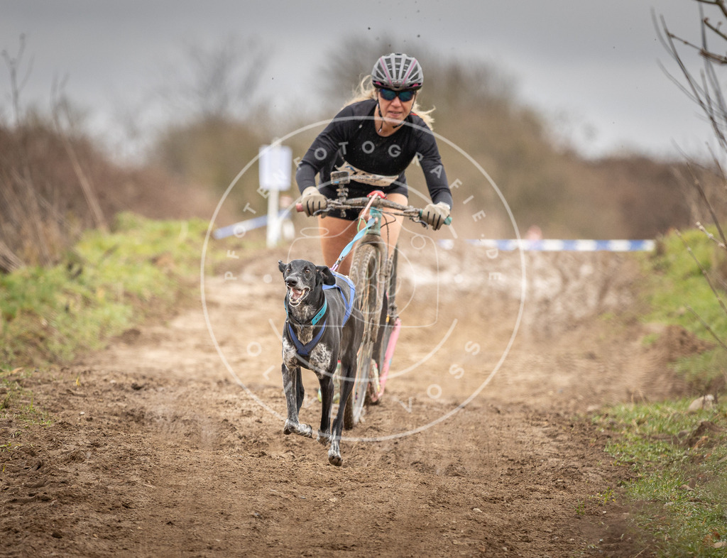 DV3A1707 | Hundefotografie, Tierfotograf, Pfotenfotografie, Fotoshooting Hund, Hunde Portrait, Hundesport, Hundeportraits, Heideshooting, Hunde, Sportfotograf, Hundefotograf, Turnierhundsport, THS,  - Realisiert mit Pictrs.com