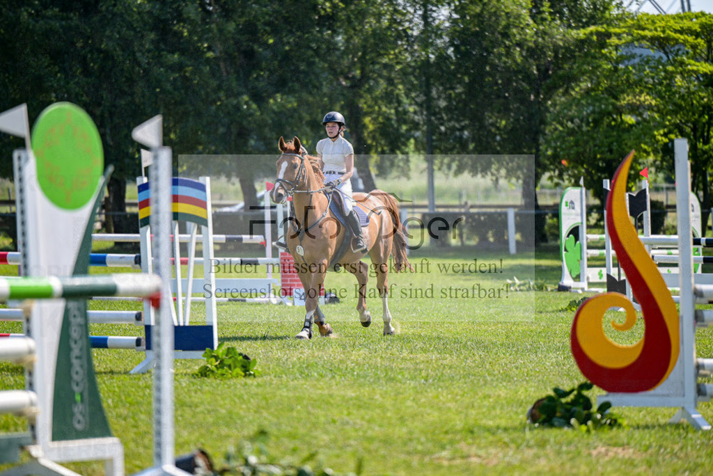 Reitturnier Voxtrup | Entdecke hochwertige Reitturnierfotos von Foto Oger. Professionell, emotional und authentisch – jetzt Lieblingsmomente im Shop bestellen.Deutschlandweite Turnierfotografie. - Realized with Pictrs.com