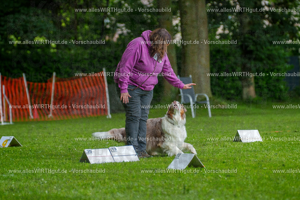 @allesWIRTHgut_Tierfotografie - www.allesWIRTHgut.de - 7R503327 | Professionelle Tierfotografie in Mönchengladbach von Daniel Wirth (allesWIRTHgut). Liebevolle & natürliche Bilder von Hunden & Katzen für unvergessliche Erinnerungen.