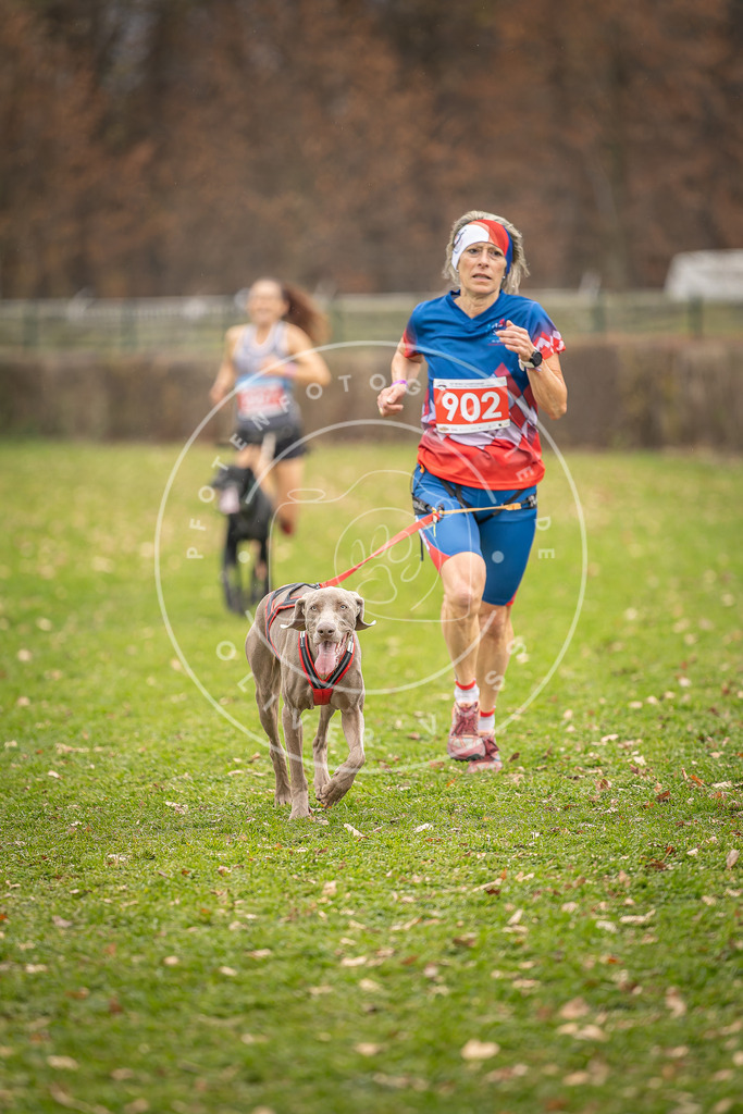CaniXpix_DV3A6881 | Hundefotografie, Tierfotograf, Pfotenfotografie, Fotoshooting Hund, Hunde Portrait, Hundesport, Hundeportraits, Heideshooting, Hunde, Sportfotograf, Hundefotograf, Turnierhundsport, THS,  - Realisiert mit Pictrs.com