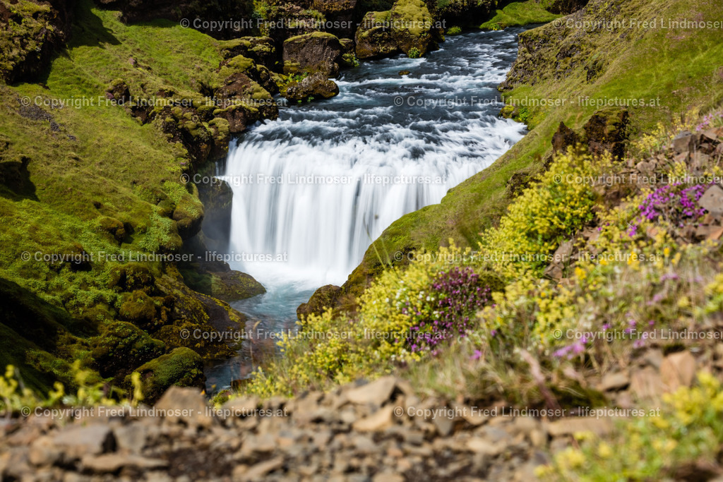 Island Gent Reykjavik-7848 | Fotos und Fotoprodukte - Realisiert mit Pictrs.com