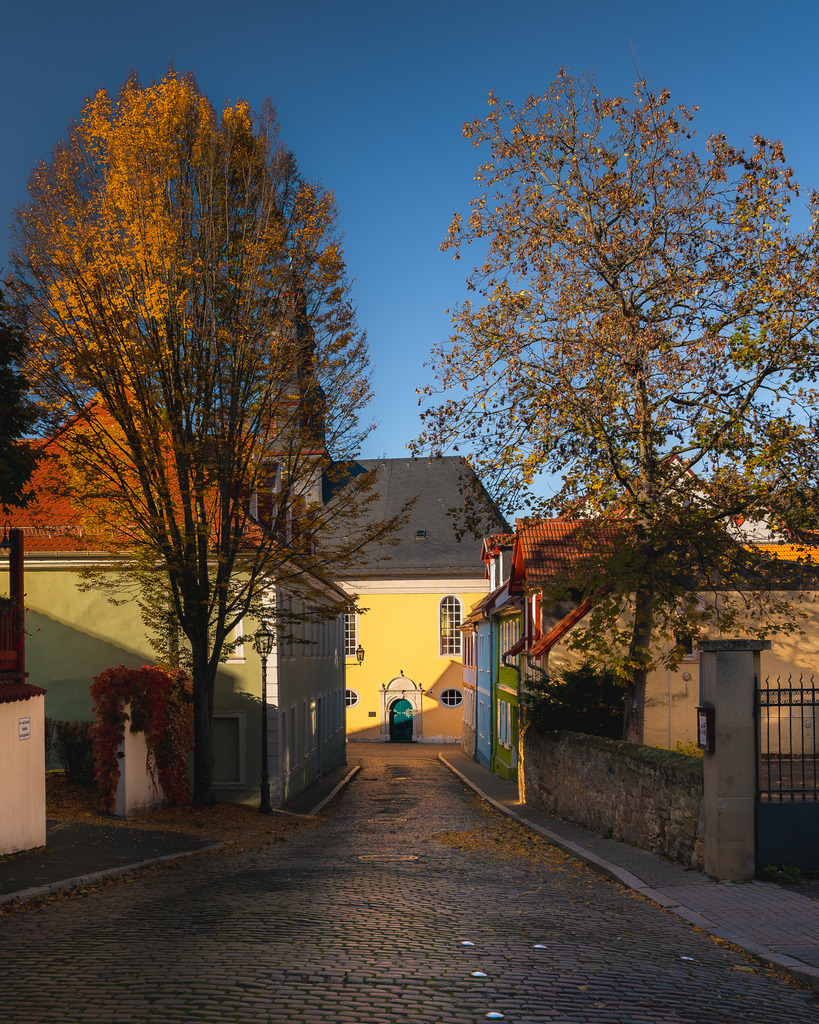 DSC_0495 | renerovisanfotoart.com