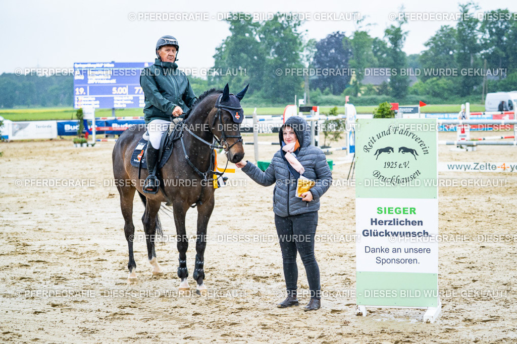 DSC00818 | Pferdegrafie