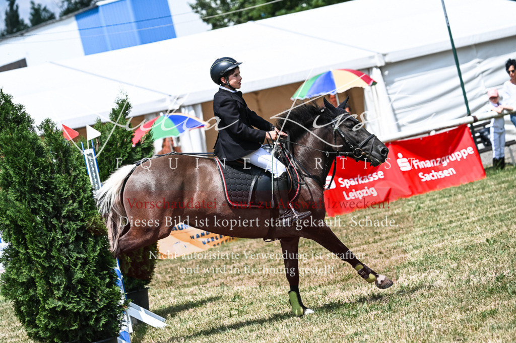 DSC_9772 | Pferde- und Turnierfotografie in Westsachsen. Pferdeportraits, Auftragszeichnungen und intuitive Kunst.