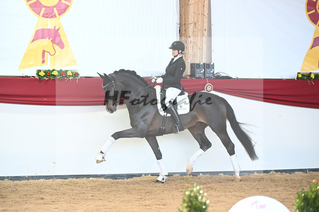 Birkhofs Esperanto_2243097 | hf-fotografie - Realisiert mit Pictrs.com