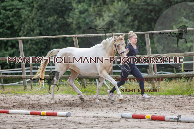 Hexenberg-334 | mandyhollmannphotographie