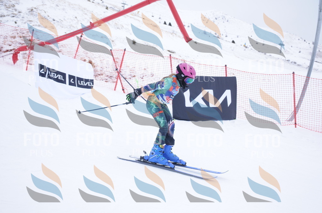 DSC_7858 | holidayphoto