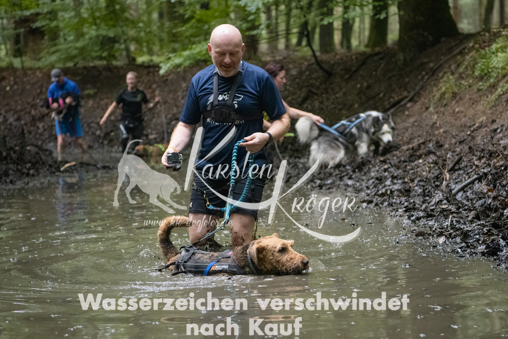 0956_ZZ91505-Bearbeitet | kk-dogfotos