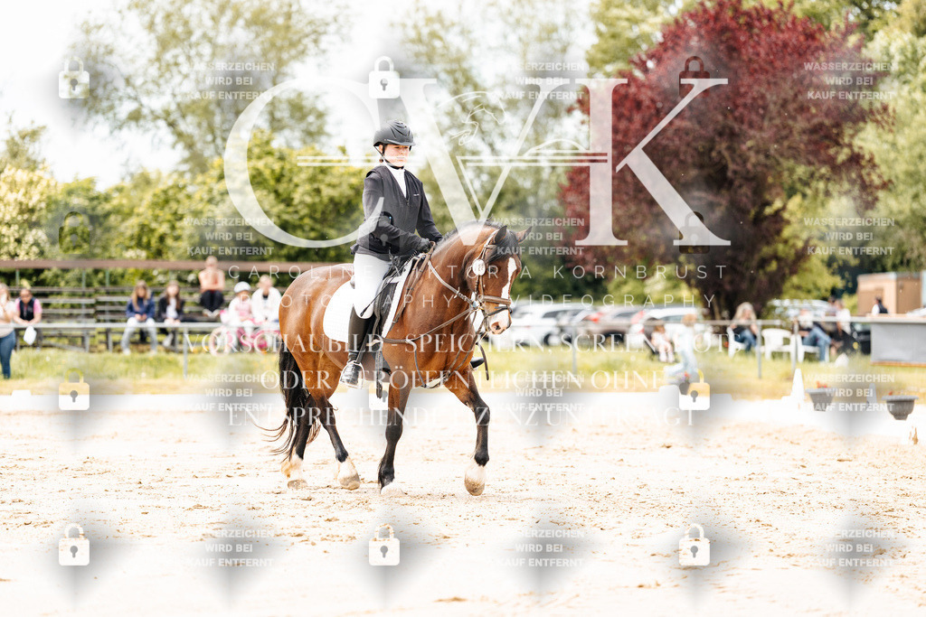 CK902781 | Turnierfotografie Pferdefotografie Trier Rheinland-Pfalz Pferdesport Reitsport Tierfotografie Sportfotografie Pferdevideo Pferdevideografie Equestrianvideography equestrianphotography  - Realisiert mit Pictrs.com