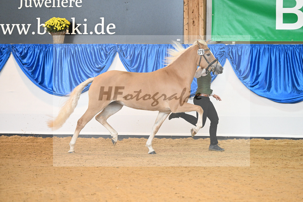 Kat-Nr. 278 Daria_Obermaier_54223208 | hf-fotografie - Realisiert mit Pictrs.com