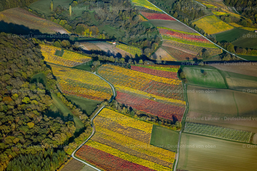 3905480 | Weinberge am Busigberg Großheubach