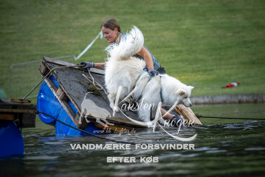 0838_ZZ99836 | kk-dogfotos