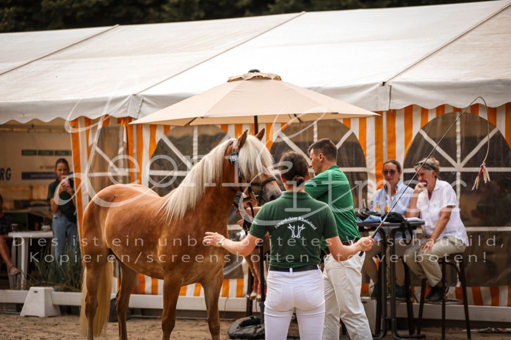 06.So00074 | Leoni Ertmer Photography - Realisiert mit Pictrs.com