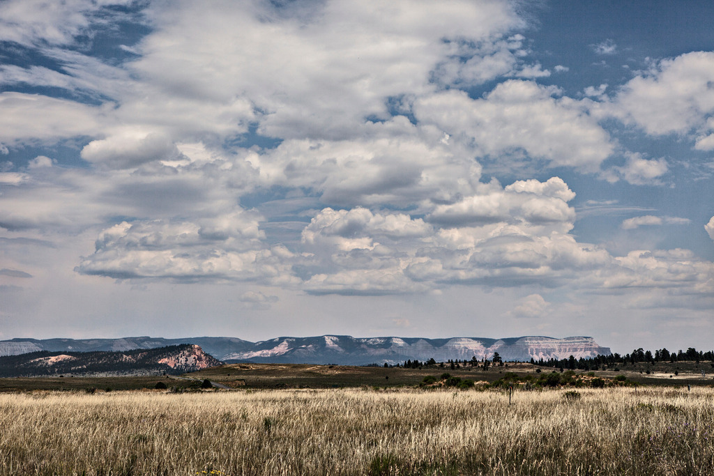 Landscape Series - Arizona, USA | AHORN PHOTOGRAPHY - Realisiert mit Pictrs.com