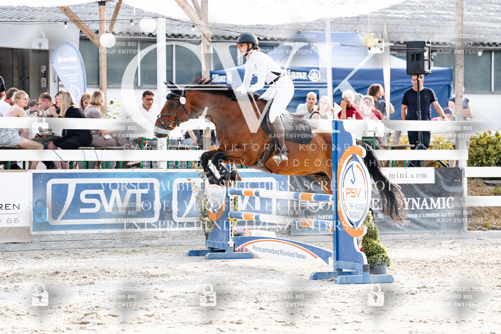 CK906650 | Turnierfotografie Pferdefotografie Trier Rheinland-Pfalz Pferdesport Reitsport Tierfotografie Sportfotografie Pferdevideo Pferdevideografie Equestrianvideography equestrianphotography  - Realisiert mit Pictrs.com