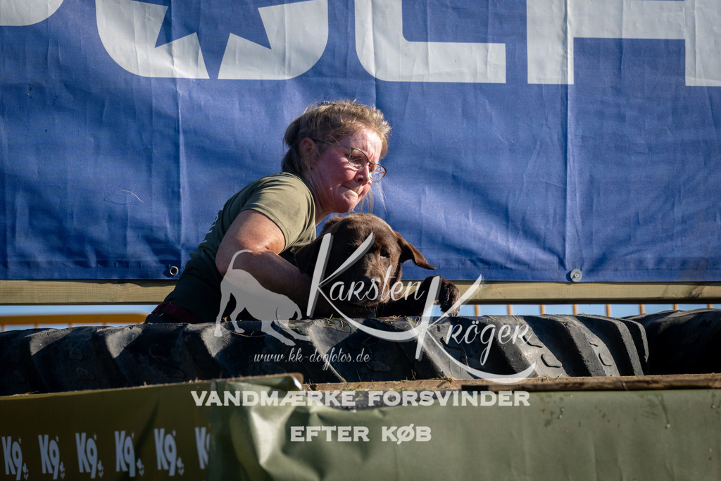 0856_ZZ95240 | kk-dogfotos