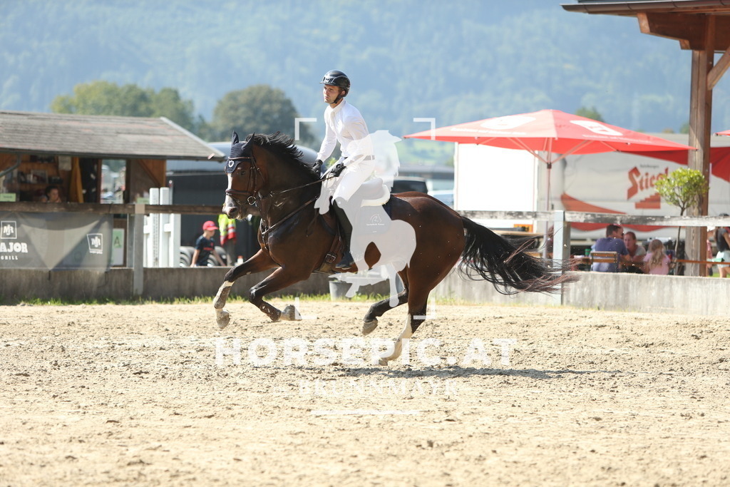 DL2Q2470 | Willkommen bei Brunnmayr - Design & Fotografie – Ihrem Spezialisten für Reitturniere und Pferdeveranstaltungen in Oberösterreich, Salzburg und Bayern! Seit über 17 Jahren sind wir leidenschaftlich dabei.