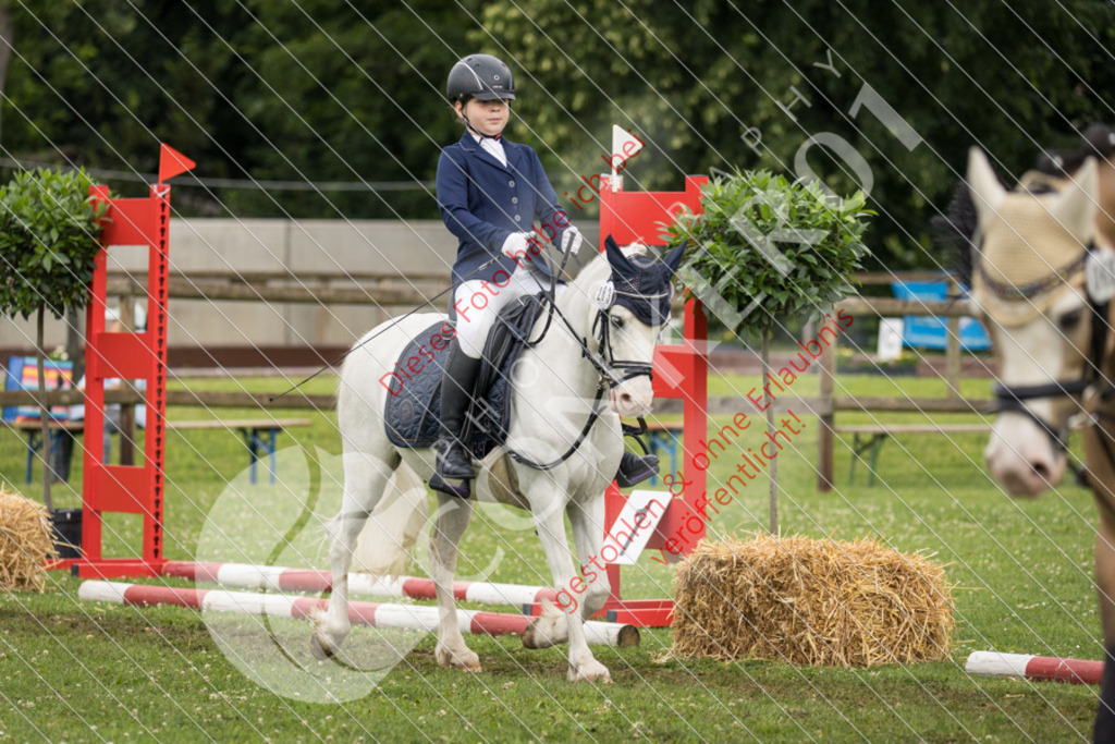 IMG_1703 | Sport-, Event- und Tierfotos in Profiqualität. Einfach auswählen, bestellen und herunterladen. Dein Moment – perfekt festgehalten.