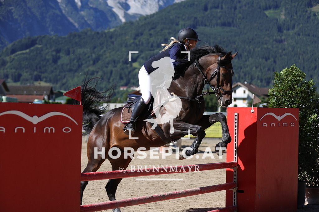 0P6A5104 | Willkommen bei Brunnmayr - Design & Fotografie – Ihrem Spezialisten für Reitturniere und Pferdeveranstaltungen in Oberösterreich, Salzburg und Bayern! Seit über 17 Jahren sind wir leidenschaftlich dabei.
