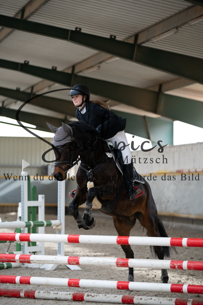 A7V04070 | Pferdefotograf