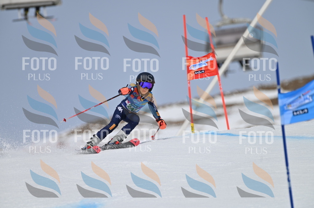 BGV_4890 | holidayphoto