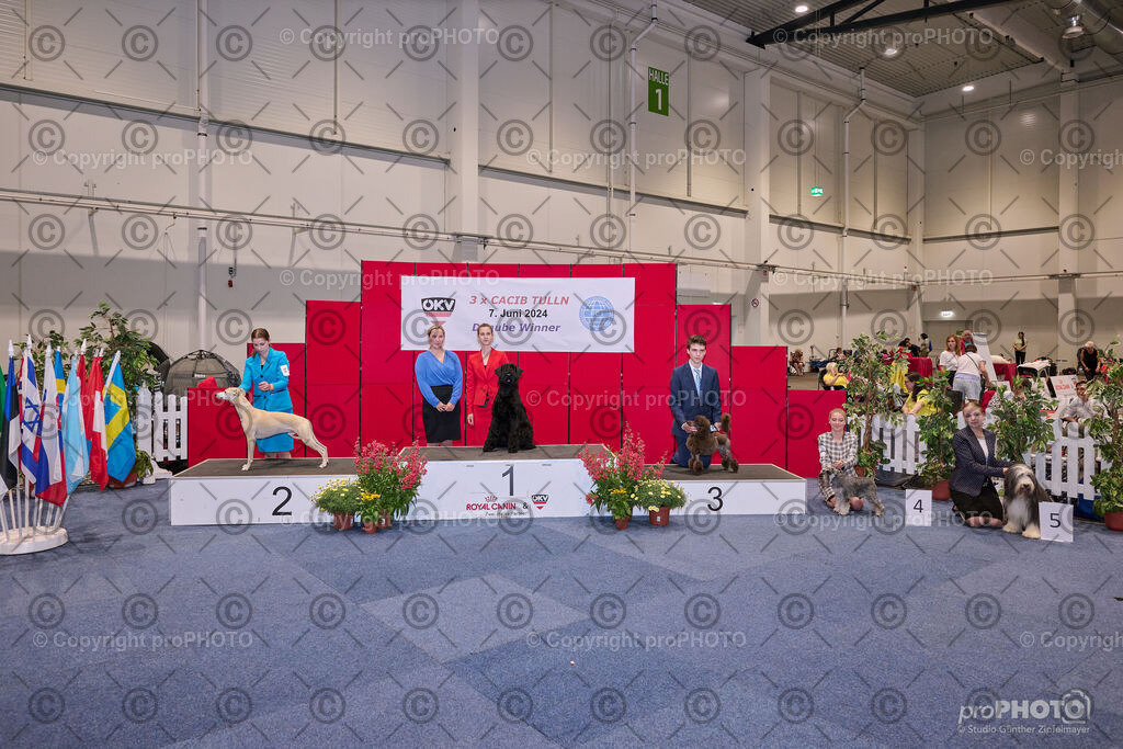 202406_ÖKV-IHA-Tulln24_NZ9_7747 | proPHOTO - Realisiert mit Pictrs.com