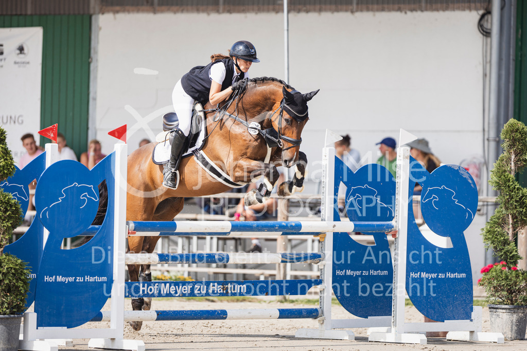 250629_PfSpTa_Stil-L2-338 | Deine schönsten Turniermomente als professionelle Fotos! Entdecke hochwertige Pferdesport-Fotografie im Online-Shop. Jetzt Fotos finden & bestellen!
