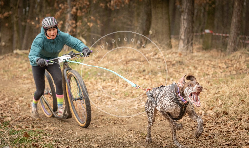 Pfotenfotografie_DV3A3950 | Hundefotografie, Tierfotograf, Pfotenfotografie, Fotoshooting Hund, Hunde Portrait, Hundesport, Hundeportraits, Heideshooting, Hunde, Sportfotograf, Hundefotograf, Turnierhundsport, THS,  - Realisiert mit Pictrs.com