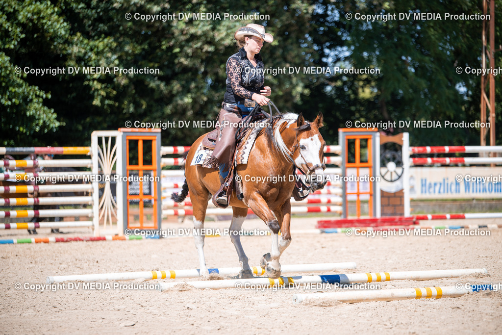 ZS1_1444 | dv-media-shop - Realisiert mit Pictrs.com