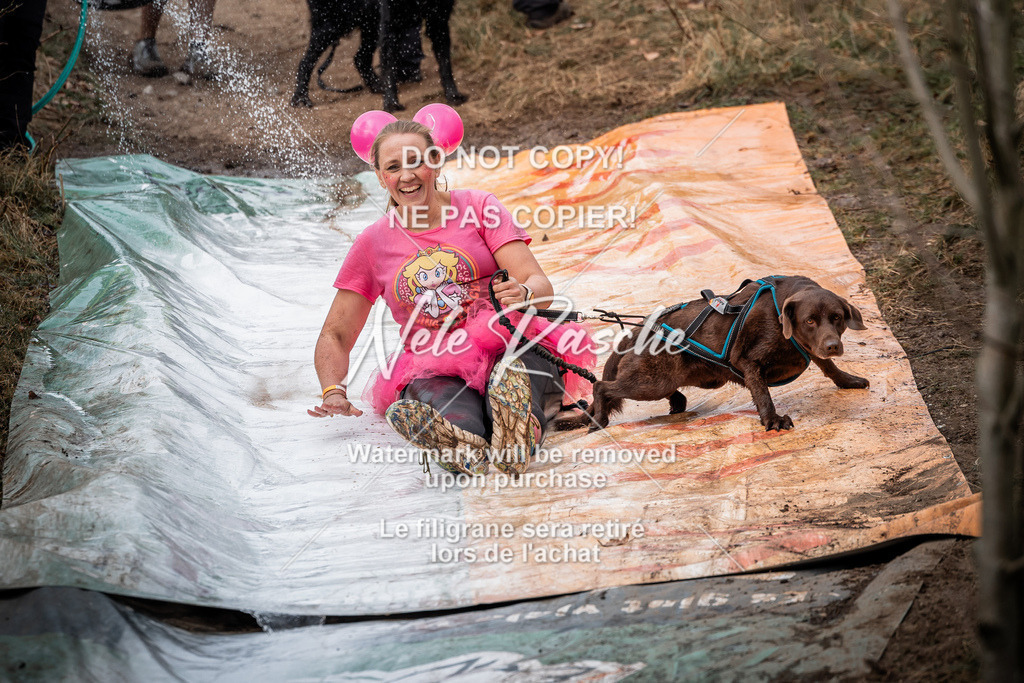 nelerasche_1330-1400_160 | nelerasche