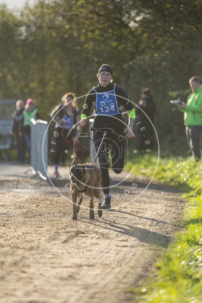 Pfotenfotografie.de_DV3A2952 | Hundefotografie, Tierfotograf, Pfotenfotografie, Fotoshooting Hund, Hunde Portrait, Hundesport, Hundeportraits, Heideshooting, Hunde, Sportfotograf, Hundefotograf, Turnierhundsport, THS, canicross - Realisiert mit Pictrs.com