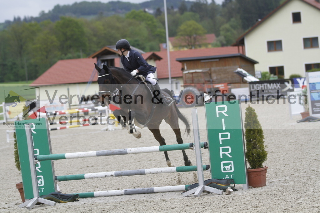 _MG_0827 | equestrian-live-com