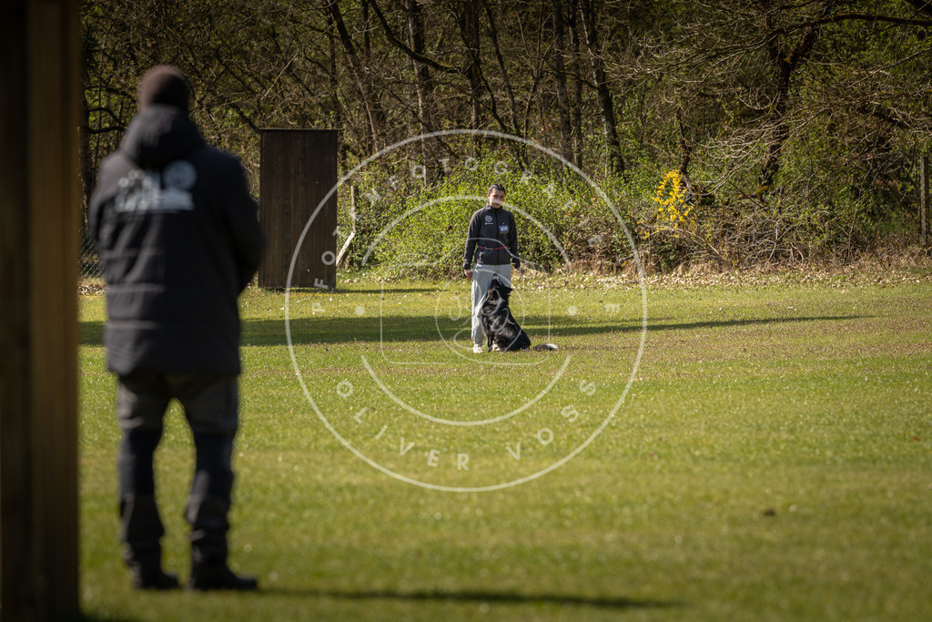 Pfotenfotografie_DV3A1096 | Hundefotografie, Tierfotograf, Pfotenfotografie, Fotoshooting Hund, Hunde Portrait, Hundesport, Hundeportraits, Heideshooting, Hunde, Sportfotograf, Hundefotograf, Turnierhundsport, THS,  - Realisiert mit Pictrs.com