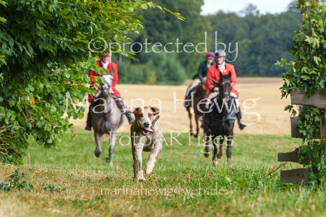 Jagd Knoop 26_MarinaHewigMCH02591 | Fotografie, FotoArt, PferdesportArt, Pferdesportfotografie, Landschaftsfotografie, Reisefotografie, Reise, Pferde - Realisiert mit Pictrs.com