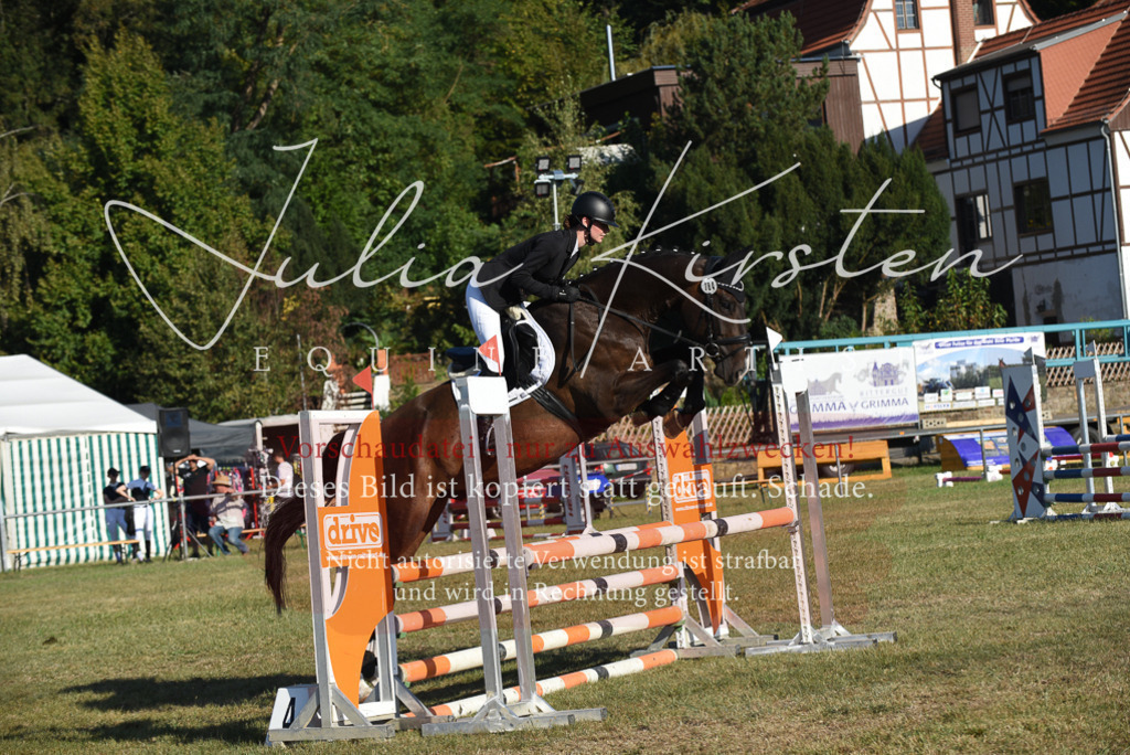 DSC_5141 | Pferde- und Turnierfotografie in Westsachsen. Pferdeportraits, Auftragszeichnungen und intuitive Kunst.