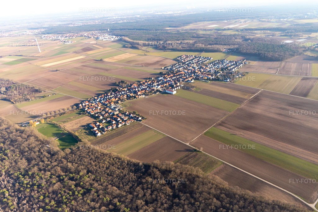 Luftbild: Ortsansicht im Ortsteil Hayna in Herxheim im Bundesland Rheinland-Pfalz in Deutschland. Foto: IMG_125634.jpg vom 21.02.2021 durch ©2025 Werner Riehm fly-foto.de/copyright